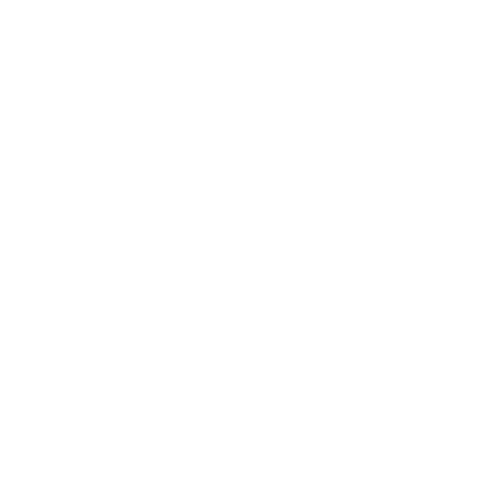 workrise logo