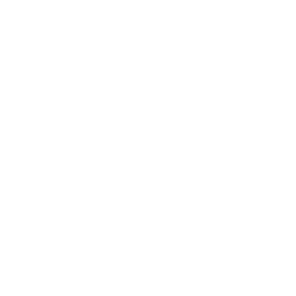 nick logo